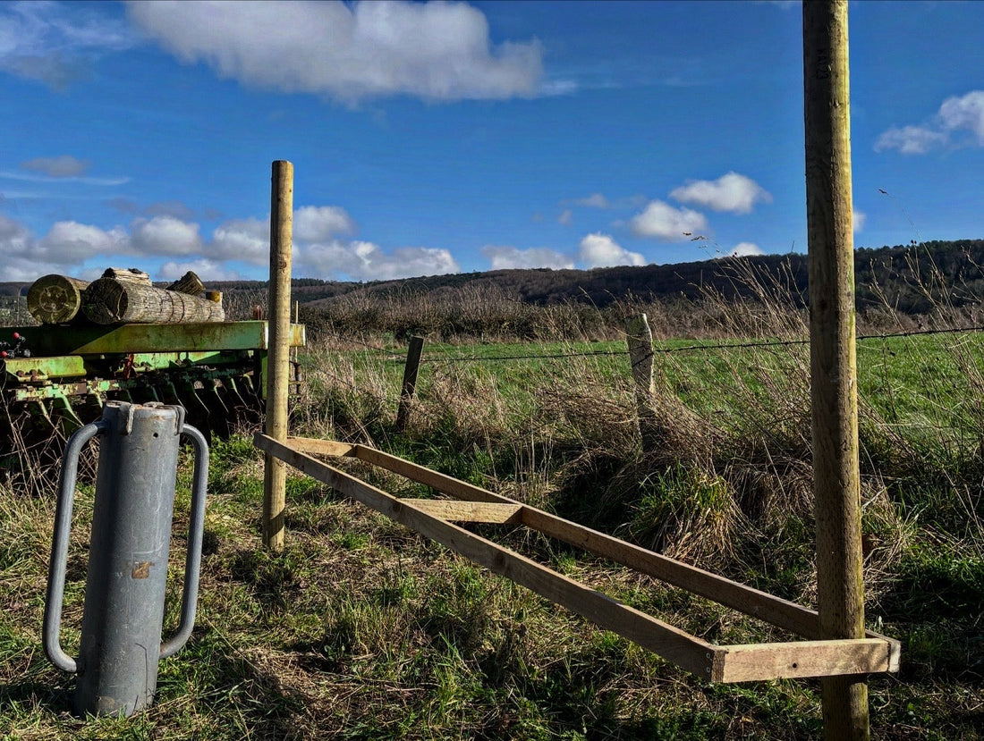 Honey Farm Life: February Edition