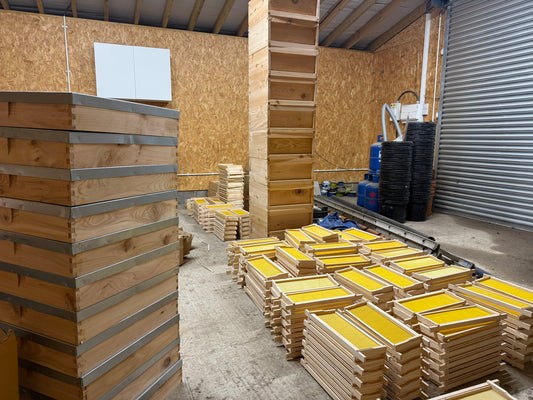 Honey Farm Life: January Edition